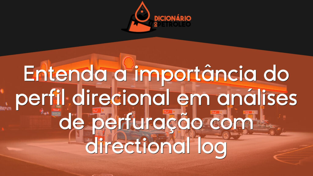 Entenda a importância do perfil direcional em análises de perfuração com directional log