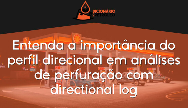 Entenda a importância do perfil direcional em análises de perfuração com directional log