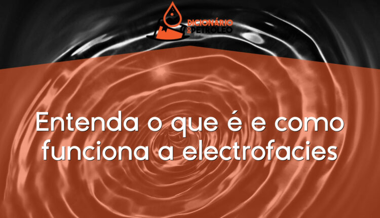 Entenda o que é e como funciona a electrofacies