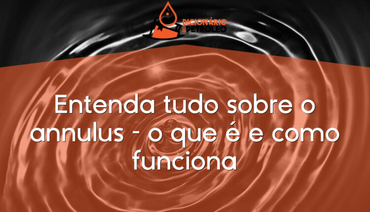 Entenda tudo sobre o annulus – o que é e como funciona
