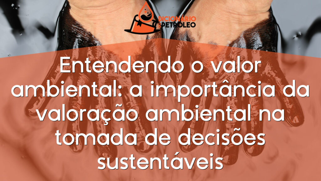 Entendendo o valor ambiental: a importância da valoração ambiental na tomada de decisões sustentáveis