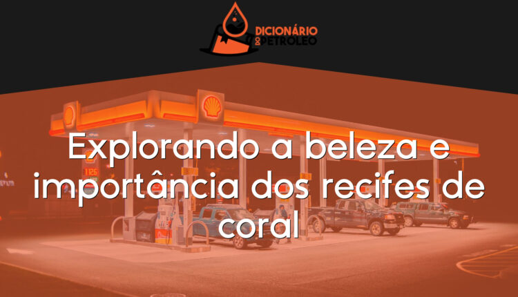 Explorando a beleza e importância dos recifes de coral