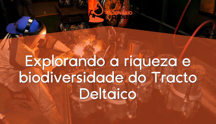 Explorando a riqueza e biodiversidade do Tracto Deltaico
