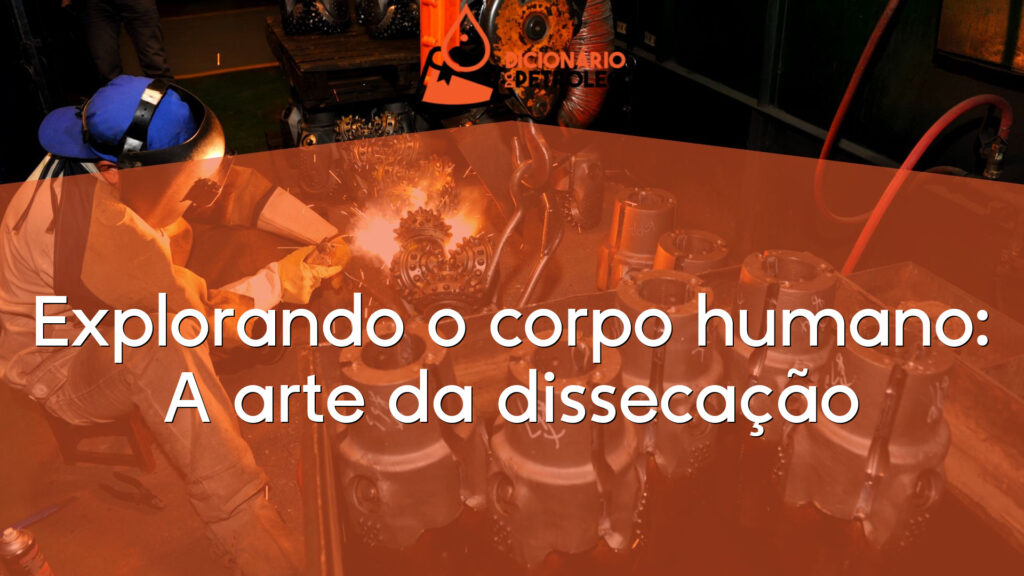 Explorando o corpo humano: A arte da dissecação