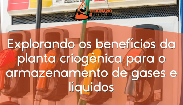Explorando os benefícios da planta criogênica para o armazenamento de gases e líquidos