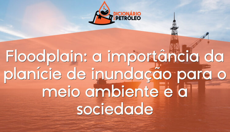 Floodplain: a importância da planície de inundação para o meio ambiente e a sociedade