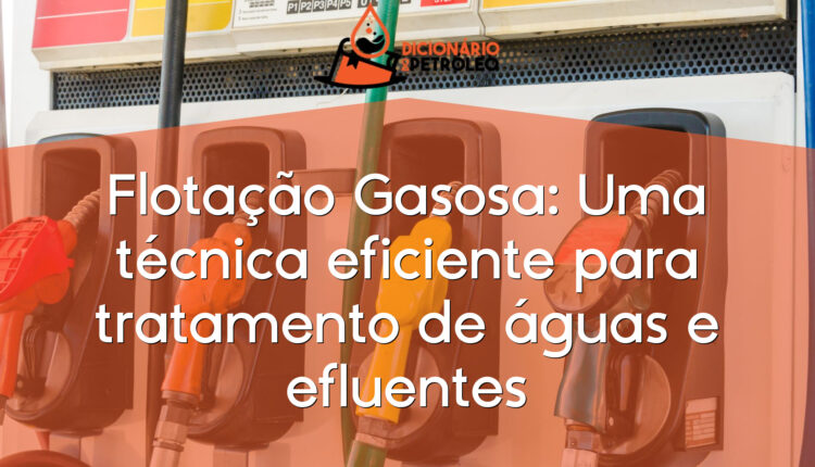 Flotação Gasosa: Uma técnica eficiente para tratamento de águas e efluentes