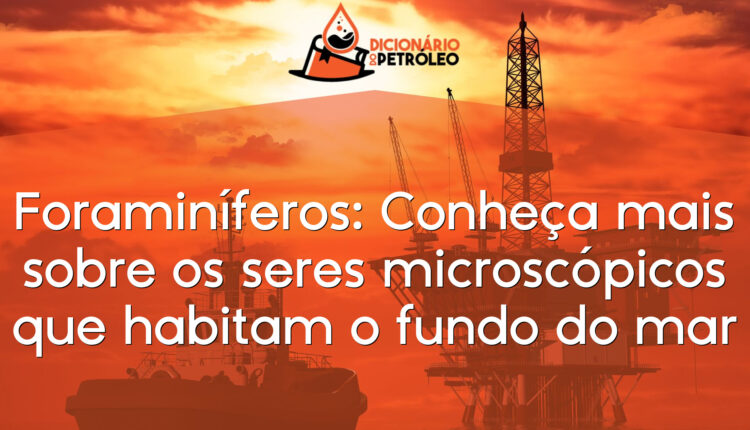 Foraminíferos: Conheça mais sobre os seres microscópicos que habitam o fundo do mar