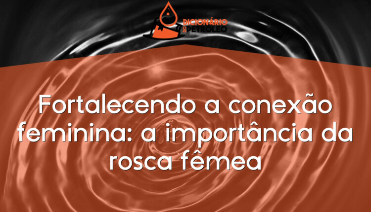 Fortalecendo a conexão feminina: a importância da rosca fêmea