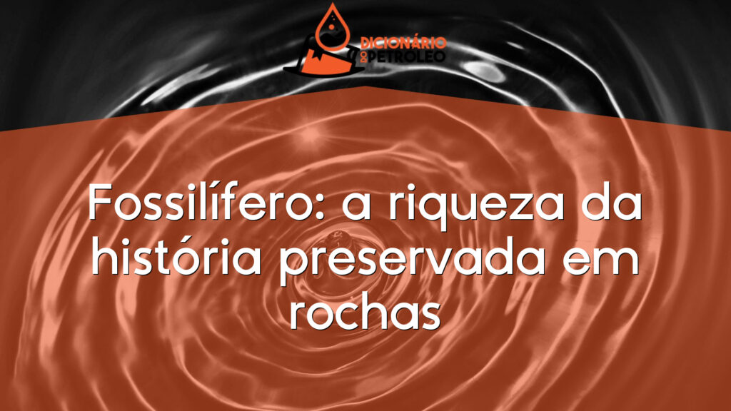 Fossilífero: a riqueza da história preservada em rochas
