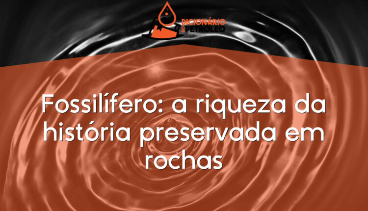 Fossilífero: a riqueza da história preservada em rochas