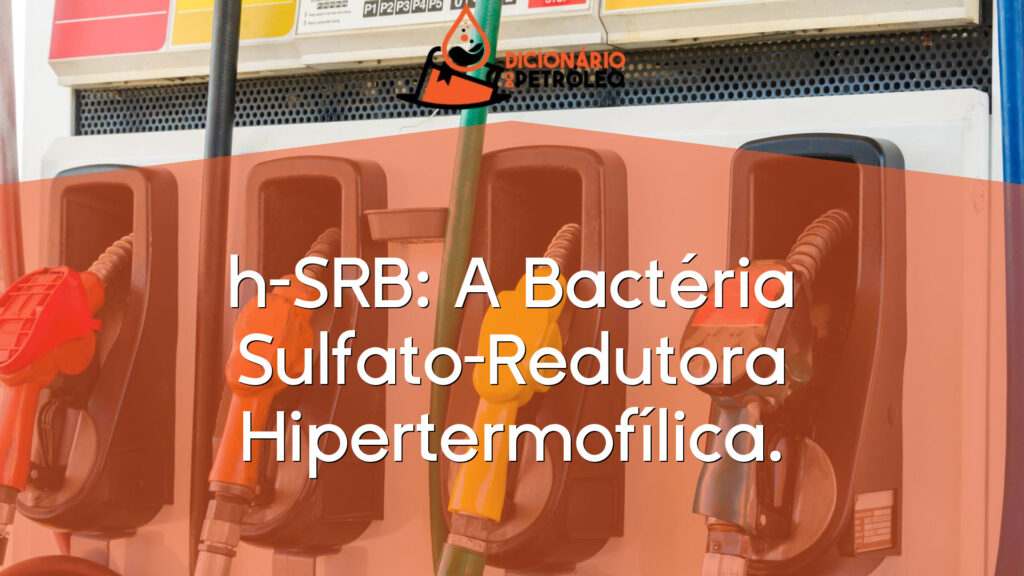 h-SRB: A Bactéria Sulfato-Redutora Hipertermofílica.