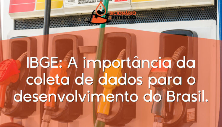 IBGE: A importância da coleta de dados para o desenvolvimento do Brasil.