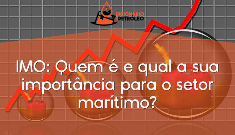 IMO: Quem é e qual a sua importância para o setor marítimo?
