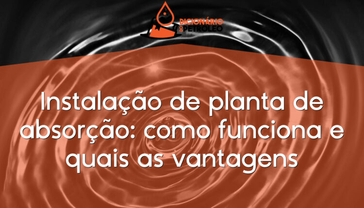 Instalação de planta de absorção: como funciona e quais as vantagens