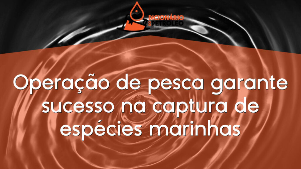 Operação de pesca garante sucesso na captura de espécies marinhas