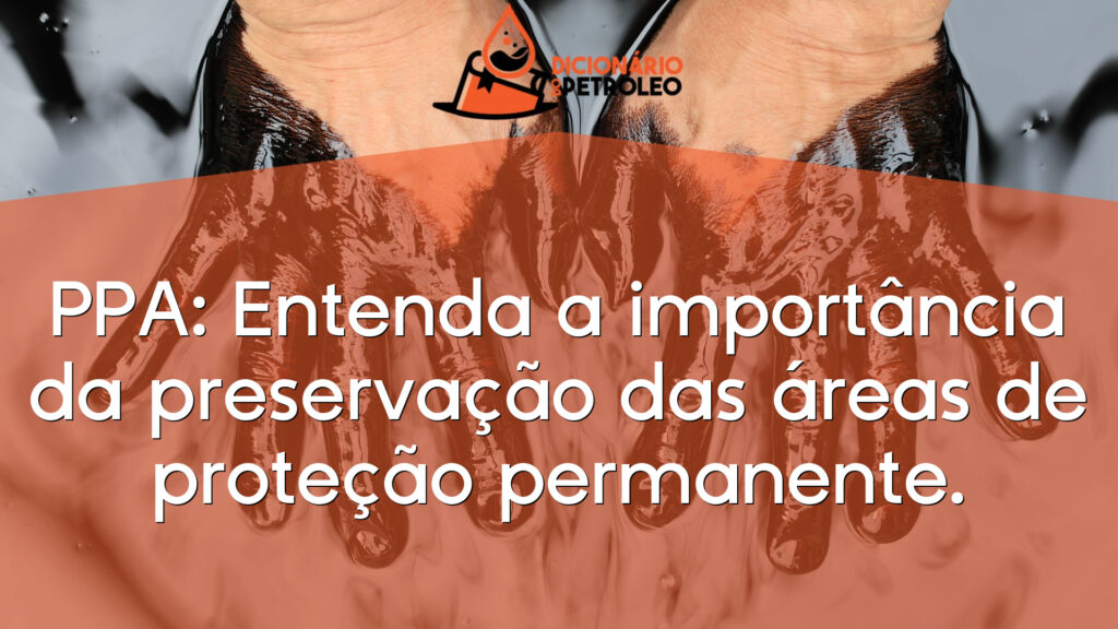 PPA: Entenda a importância da preservação das áreas de proteção permanente.