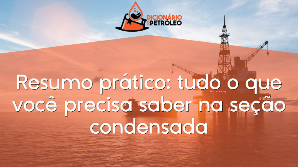 Resumo prático: tudo o que você precisa saber na seção condensada
