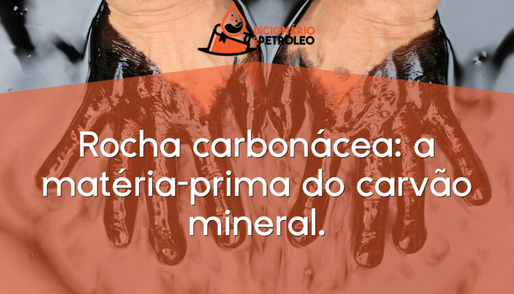 Rocha carbonácea: a matéria-prima do carvão mineral.