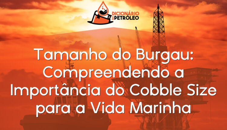 Tamanho do Burgau: Compreendendo a Importância do Cobble Size para a Vida Marinha