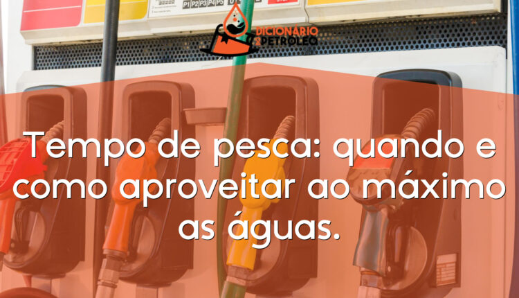 Tempo de pesca: quando e como aproveitar ao máximo as águas.