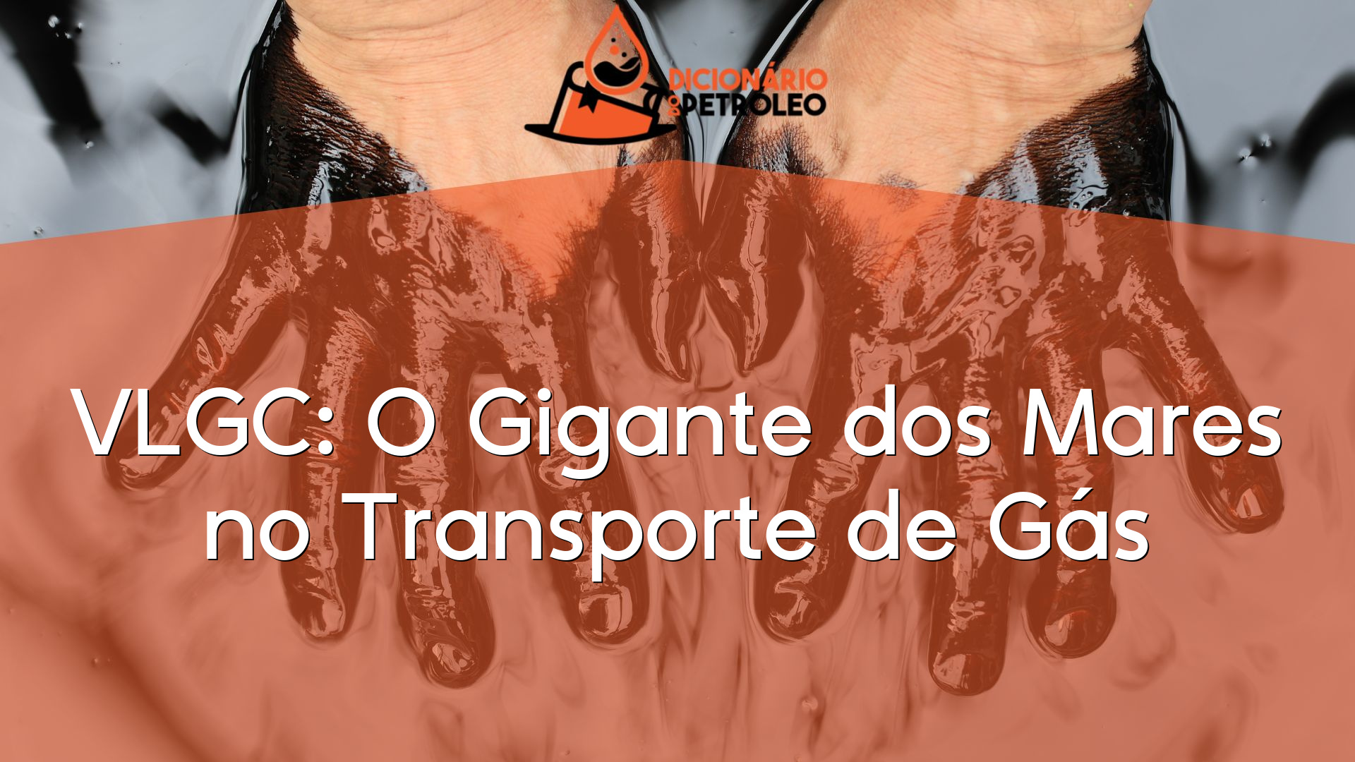 VLGC: O Gigante dos Mares no Transporte de Gás